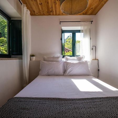 Douro Senses - Village House Cinfães Exterior foto