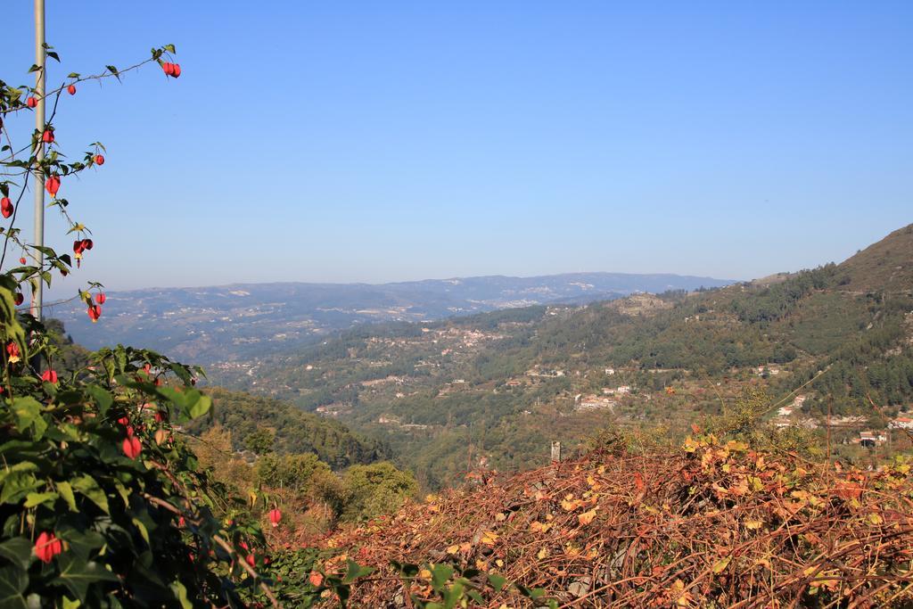 Douro Senses - Village House Cinfães Exterior foto
